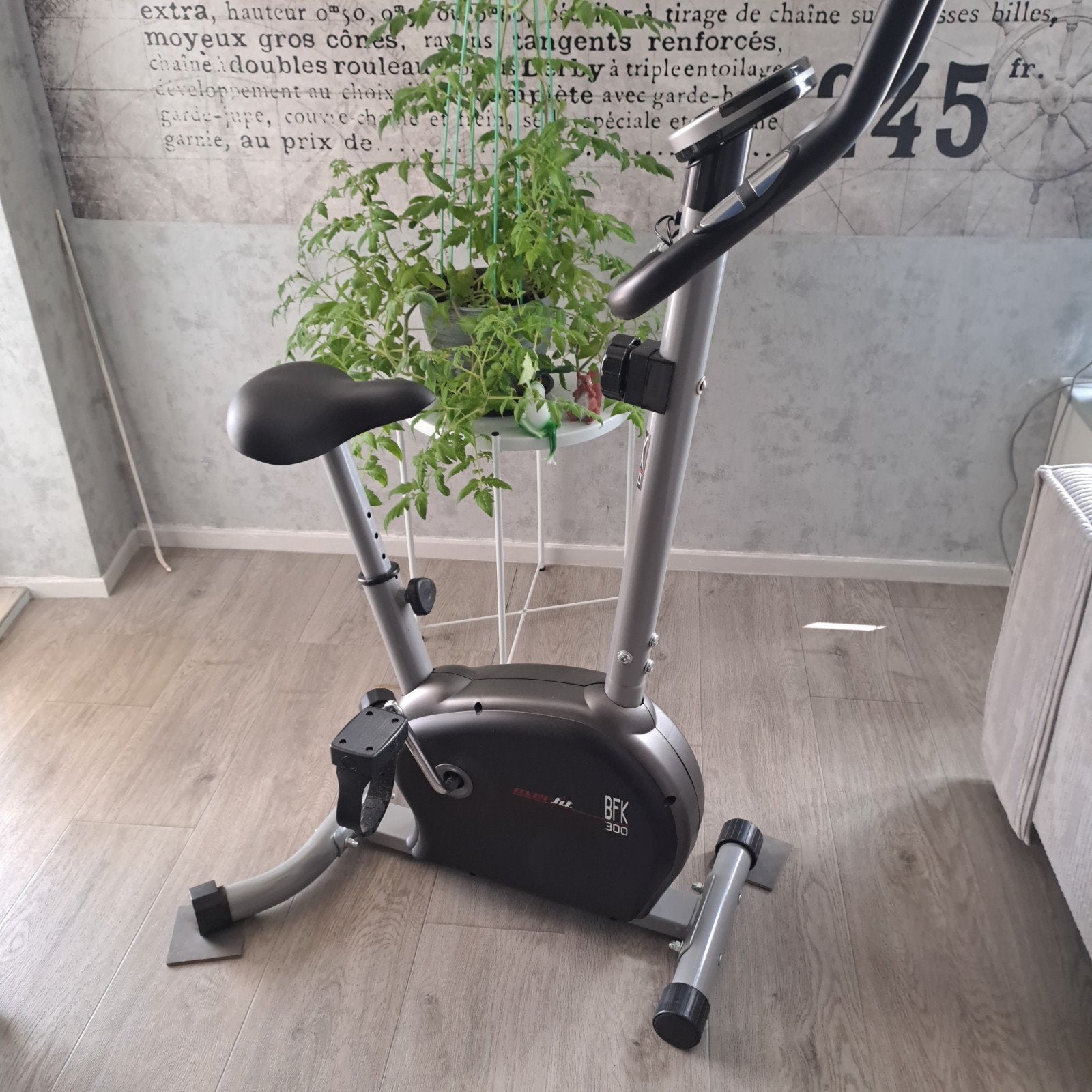 Everfit BFK-300 Hometrainer, Ophalen, Zo goed als nieuw, Hometrainer