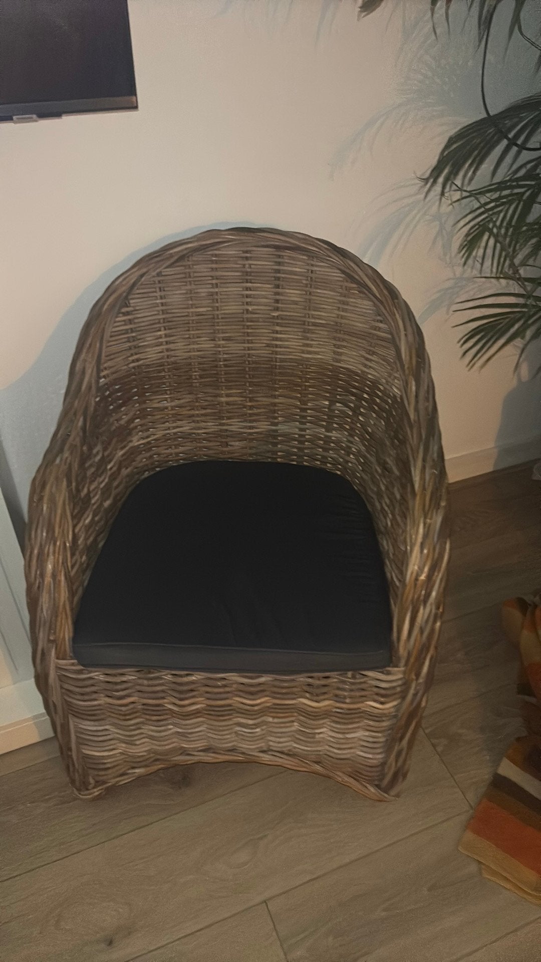 Mooie rieten stoel m kussen, Tuin en Terras, Tuinstoelen, Ophalen of Verzenden, Zo goed als nieuw, Rotan