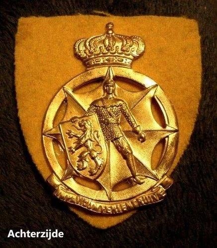 Vergulde Mutsinsigne, Belgische Civiele Bescherming, Verzenden, Overige soorten, Overige gebieden, Embleem of Badge