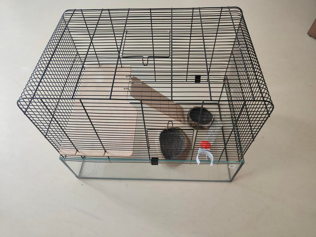 Hamsterkooi glas, Kooi, Minder dan 75 cm, Zo goed als nieuw, Ophalen