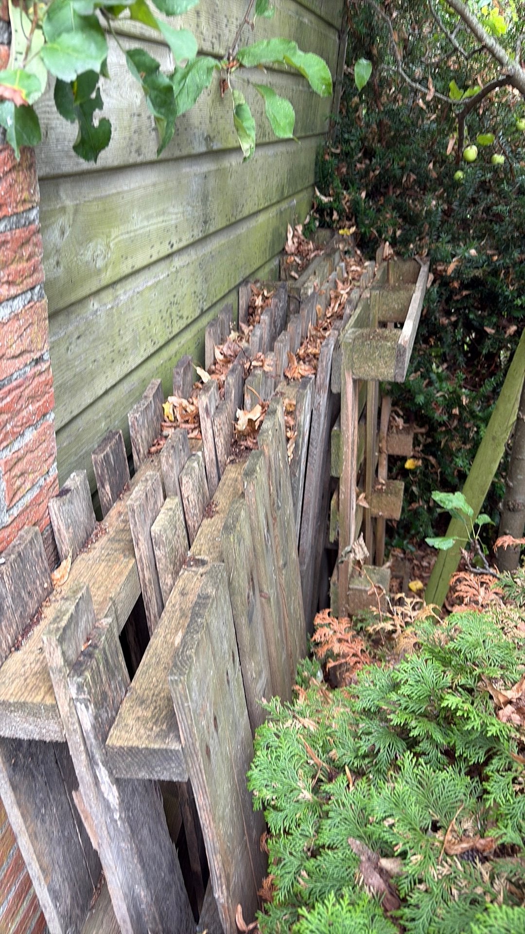 Pallets, Ophalen, Gebruikt, 200 tot 250 cm, Overige houtsoorten