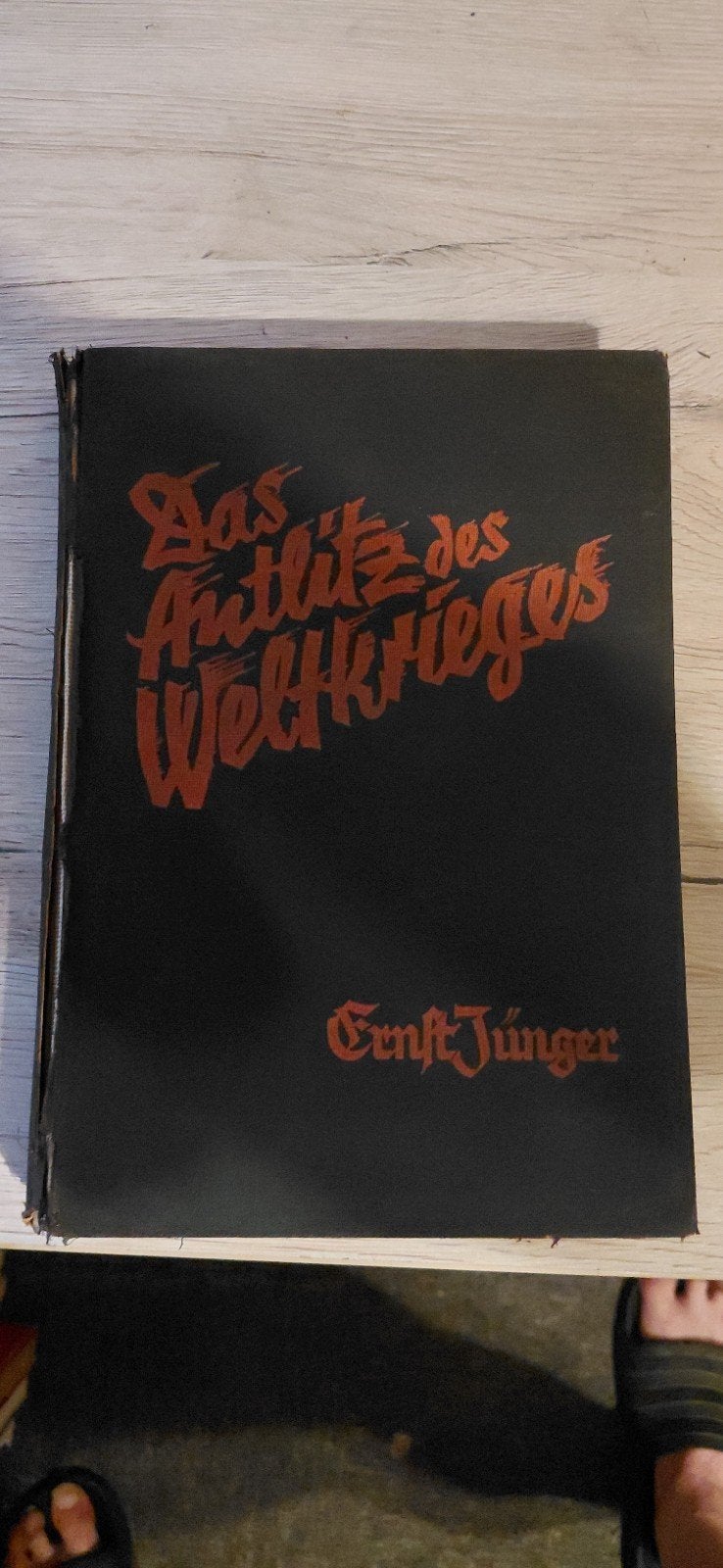 boek van //Ernst Junger// Das Antlik Des Weltkrieges// 1930, Boeken, Gelezen, Ophalen of Verzenden, Voor 1940, Overige onderwerpen
