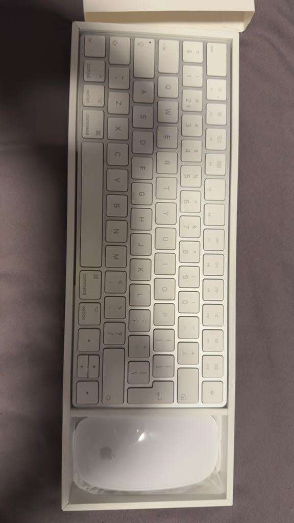 Magic keyboard en magic mouse 2, Computers en Software, Toetsenborden, Ophalen of Verzenden, Zo goed als nieuw