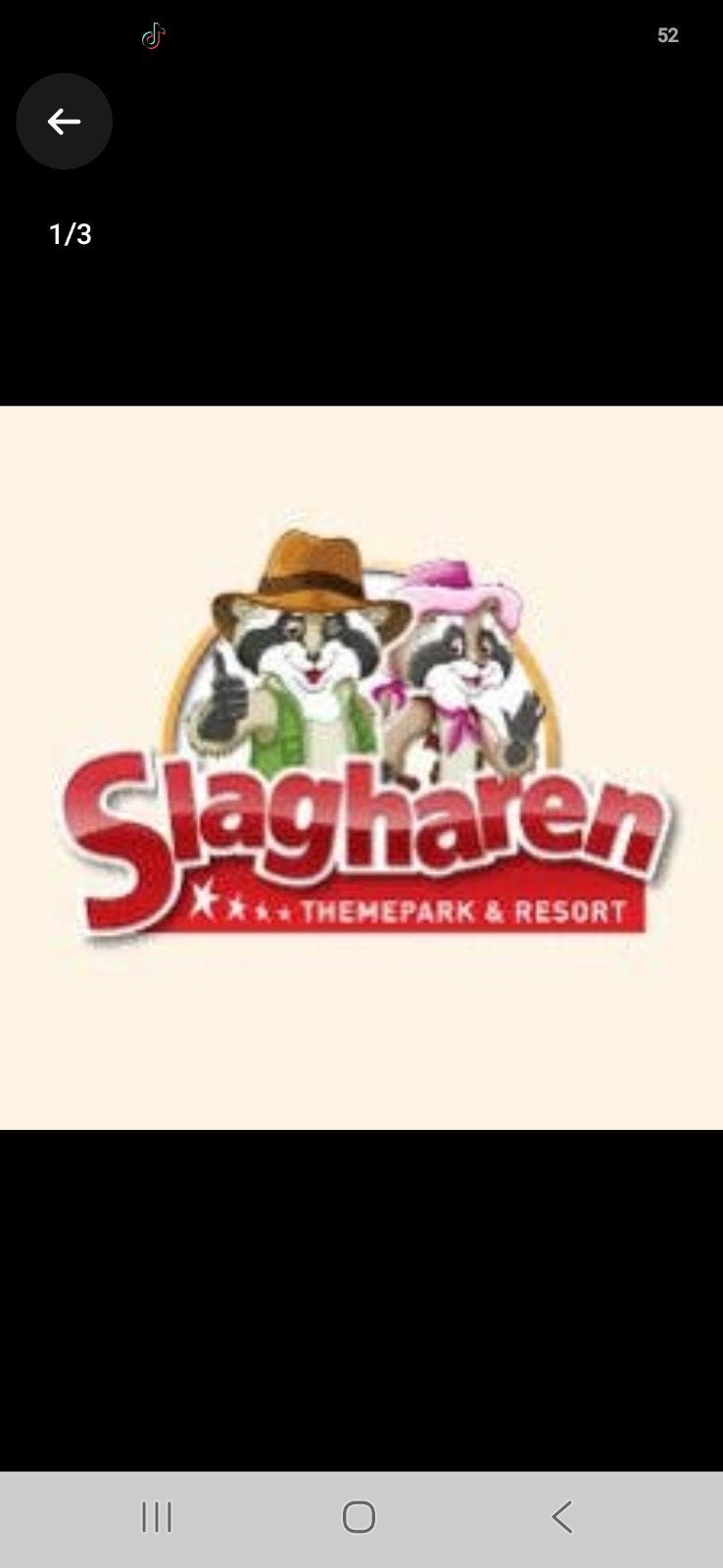 4 entree tickets voor Slagharen, Drie personen of meer, Ticket of Toegangskaart