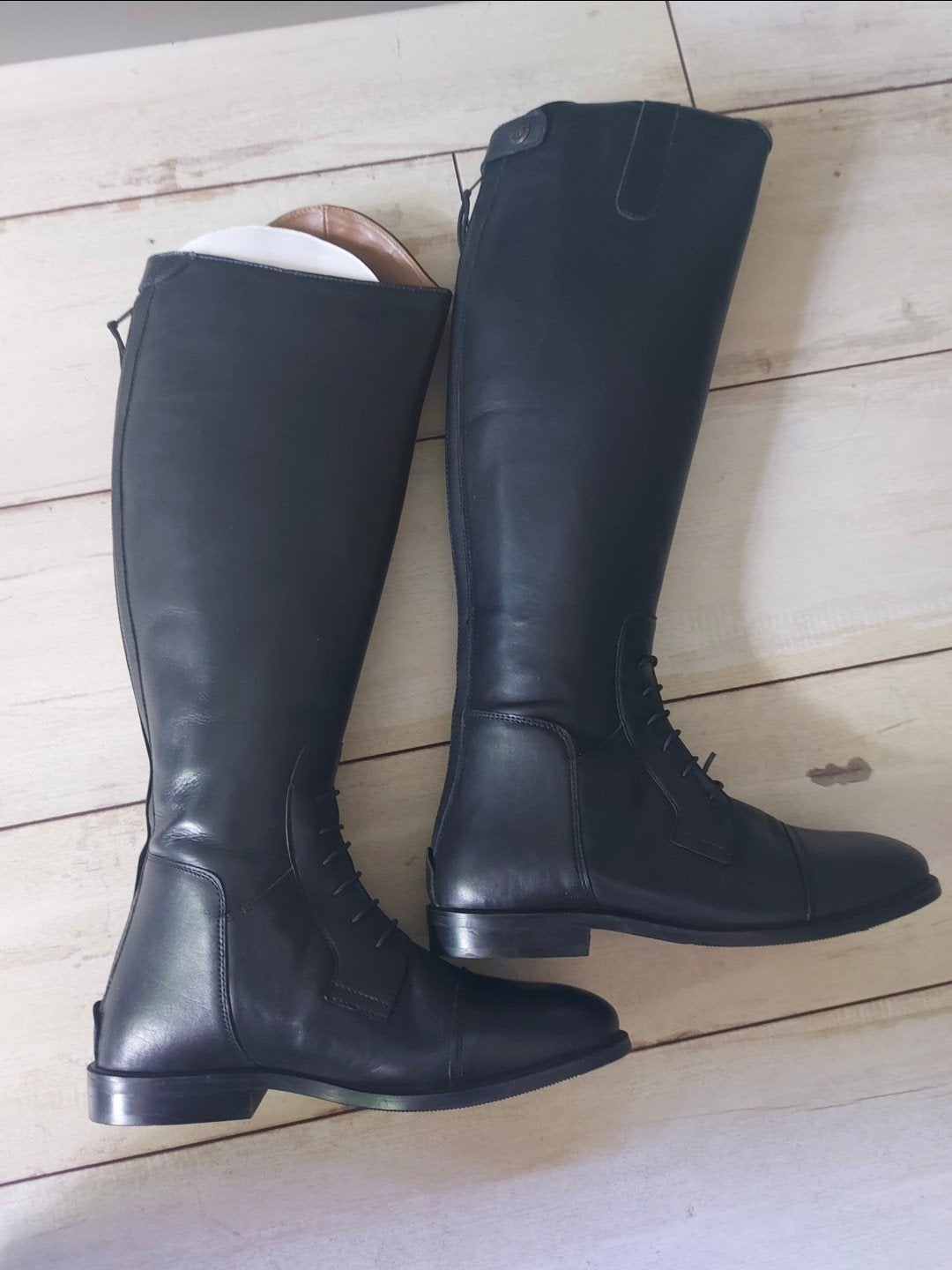 Paardrijlaarzen, Dieren en Toebehoren, Ophalen, Dressuur, Zo goed als nieuw, Zwart