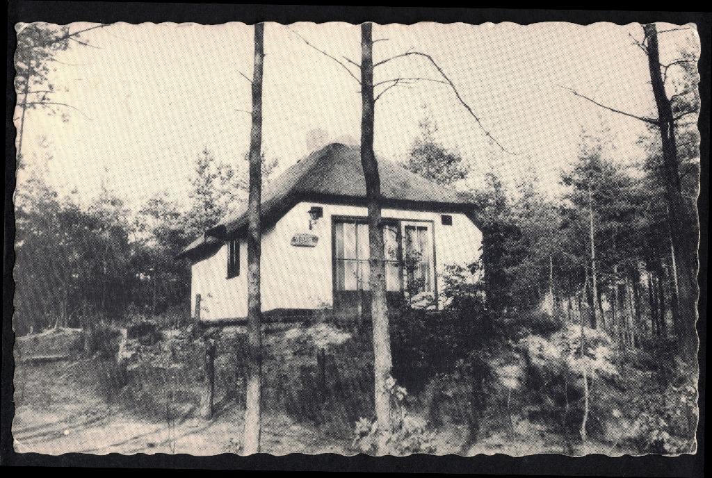 Hoenderloo, Groeten uit., Ophalen of Verzenden, 1940 tot 1960, Gelopen, Gelderland