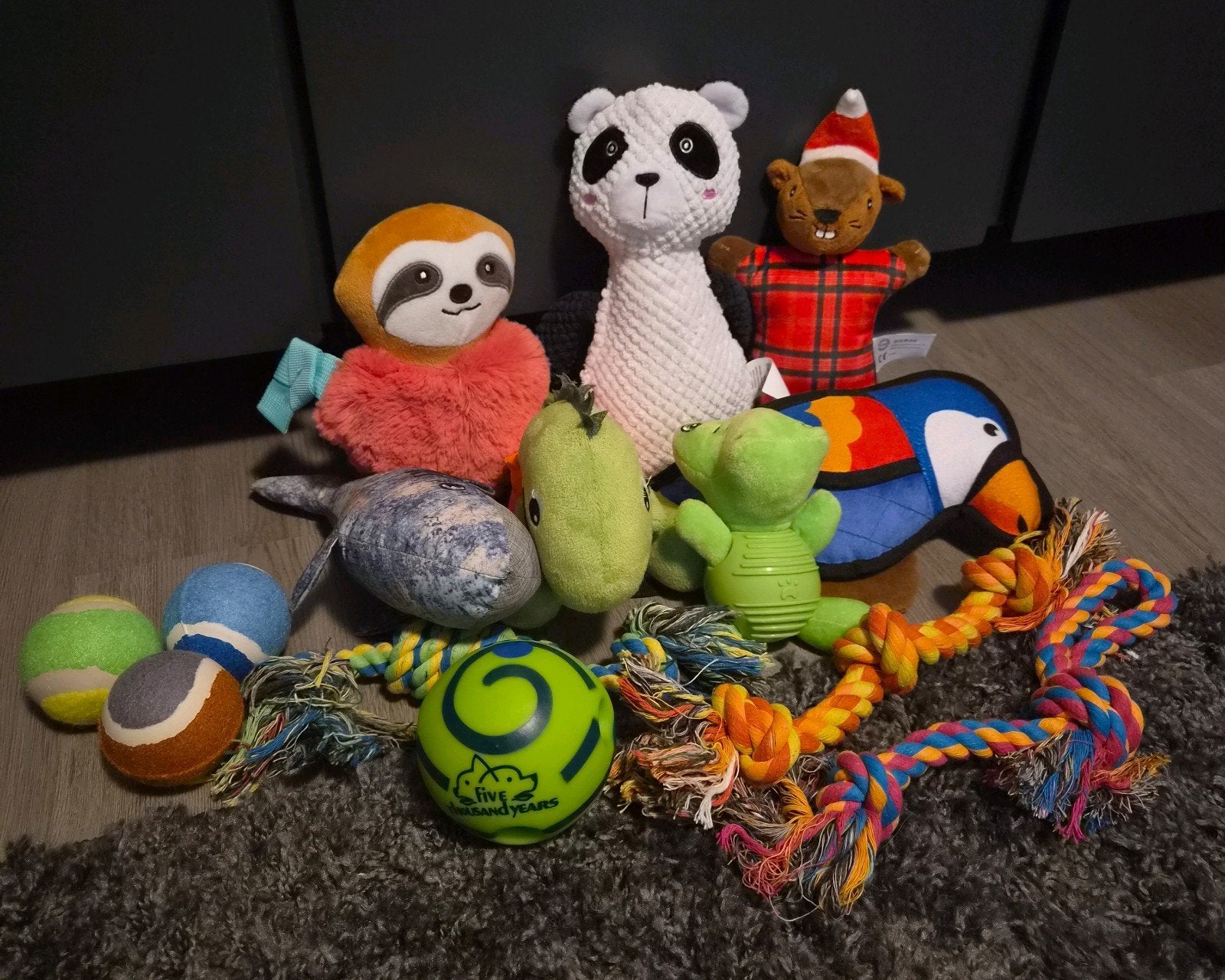 Divers hondenspeelgoed, Ophalen of Verzenden, Nieuw