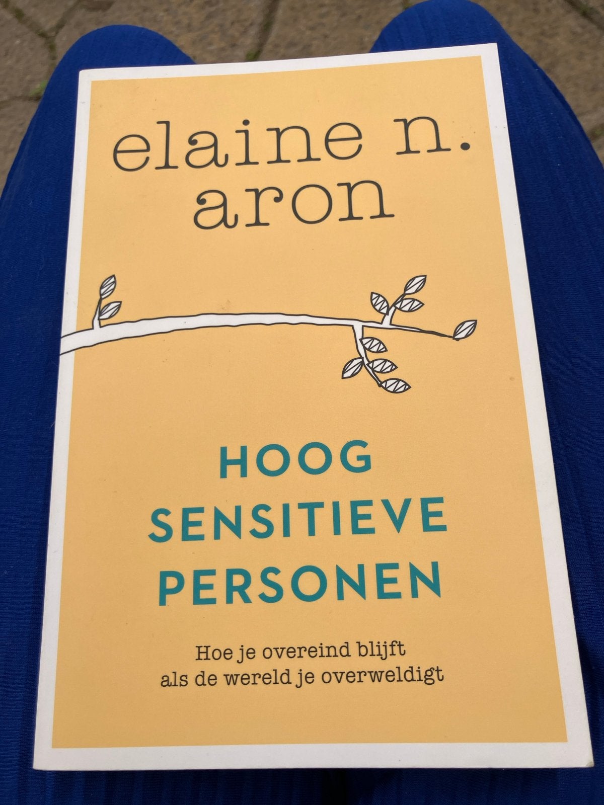 Hoog Sensitieve Personen - Elaine N. Aron, Ophalen of Verzenden, Gelezen, Klinische psychologie