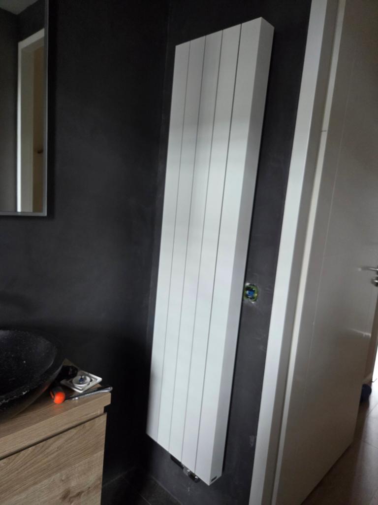 Design radiator (vasco), Huis en Inrichting, Ophalen, Overige typen, 50 tot 100 cm, Zo goed als nieuw