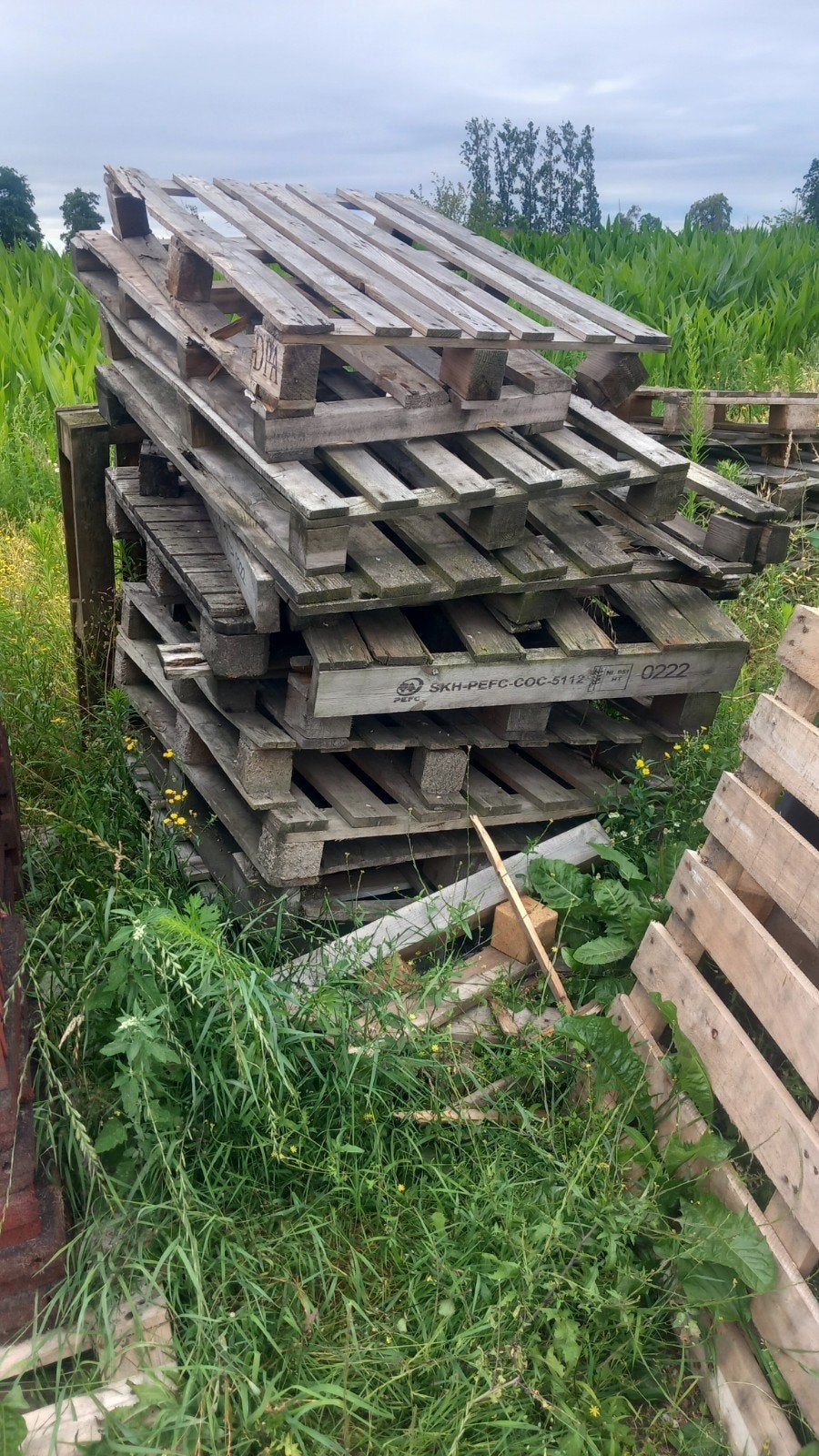 Kapotte pallets/haardhout, Gratis af te halen., Doe-het-zelf en Verbouw, Ophalen, Gebruikt, Pallet, Minder dan 200 cm