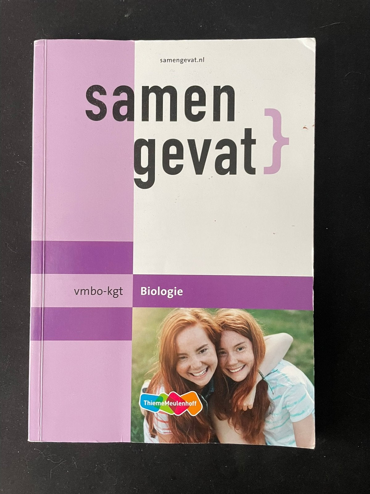 Samengevat vmbo gt/ mavo, Boeken, Schoolboeken, Ophalen of Verzenden, Zo goed als nieuw, VMBO