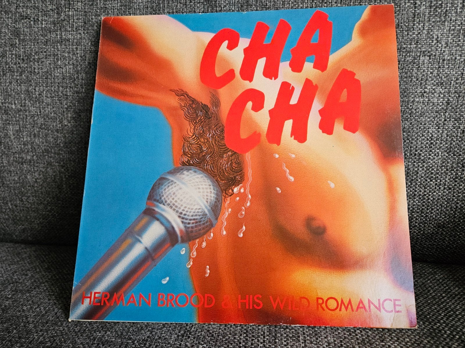 Herman Brood & His Wild Romance - Cha Cha, Cd's en Dvd's, Vinyl | Rock, LP, Ophalen of Verzenden, Zo goed als nieuw, 12 inch