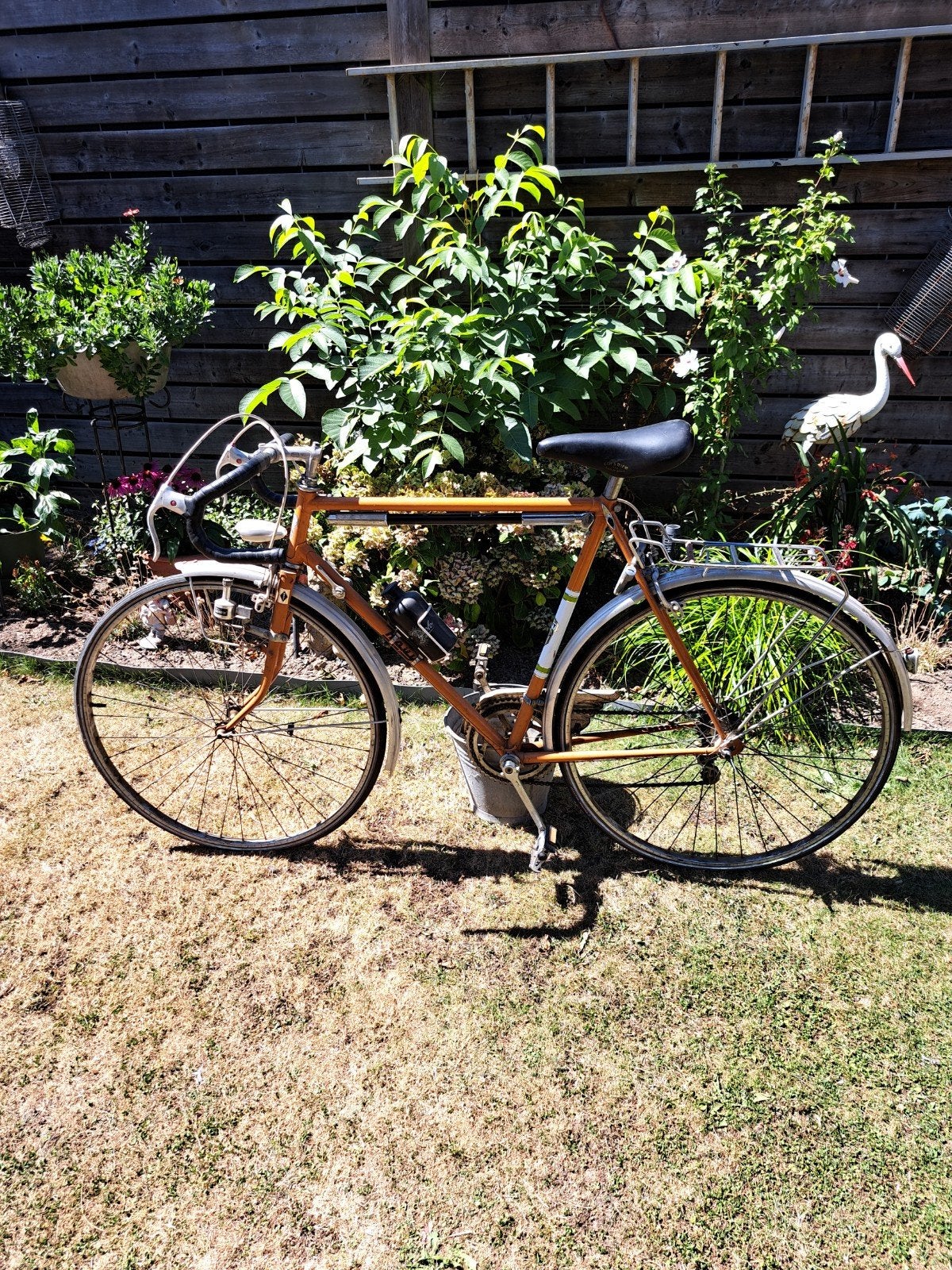 novy retro sportfiets, Ophalen