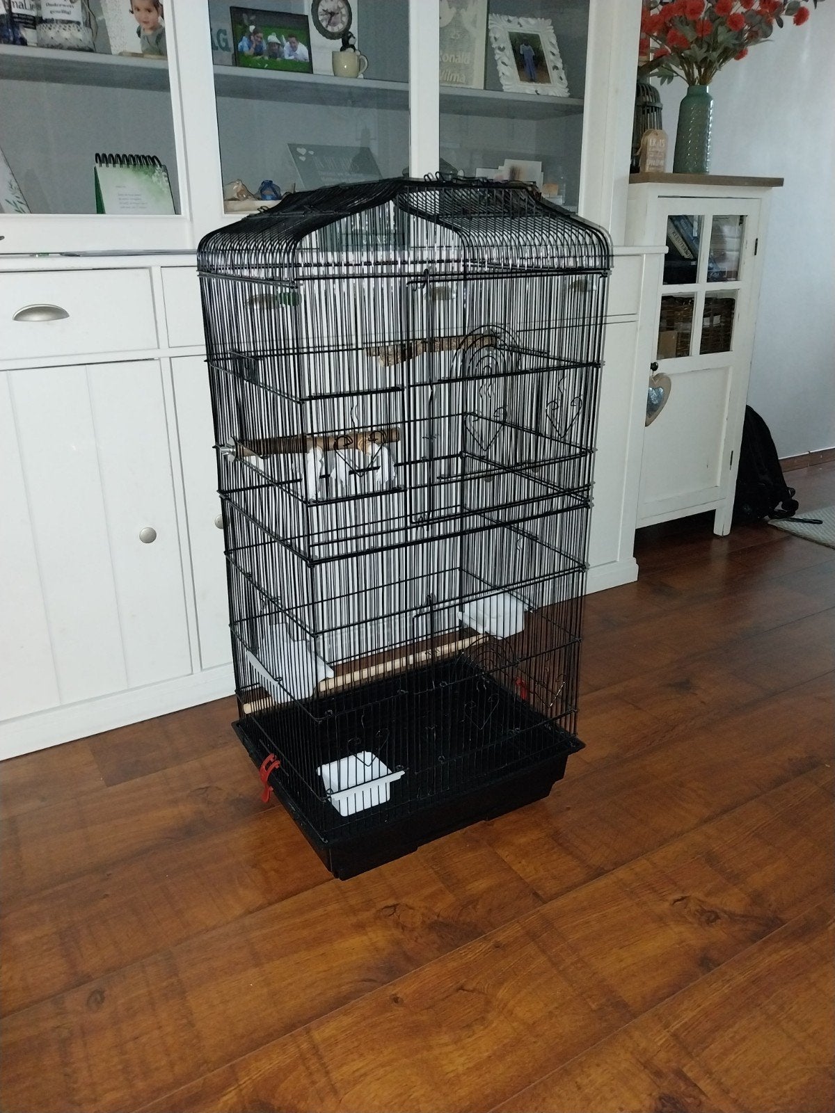 Mooie vogelkooi, Ophalen, Zo goed als nieuw, Metaal, Vogelkooi