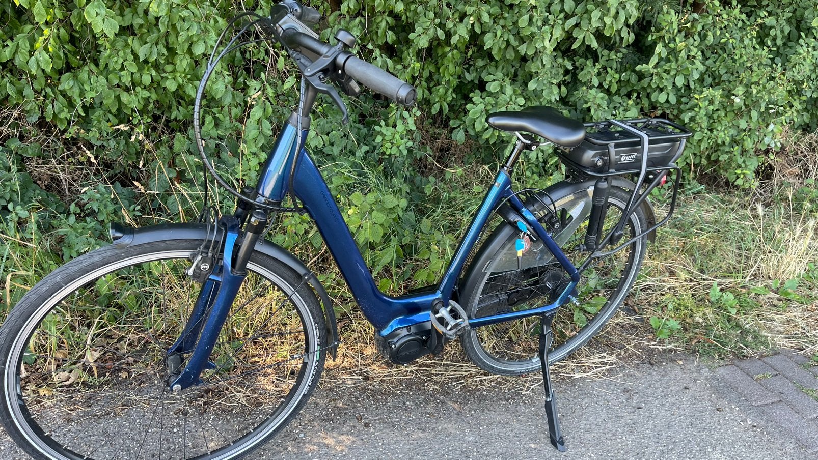 Elektrische Giant Grand Tour E+ met middenmotor en 500 wh ac, 51 tot 55 cm, Ophalen, Zo goed als nieuw, Overige merken