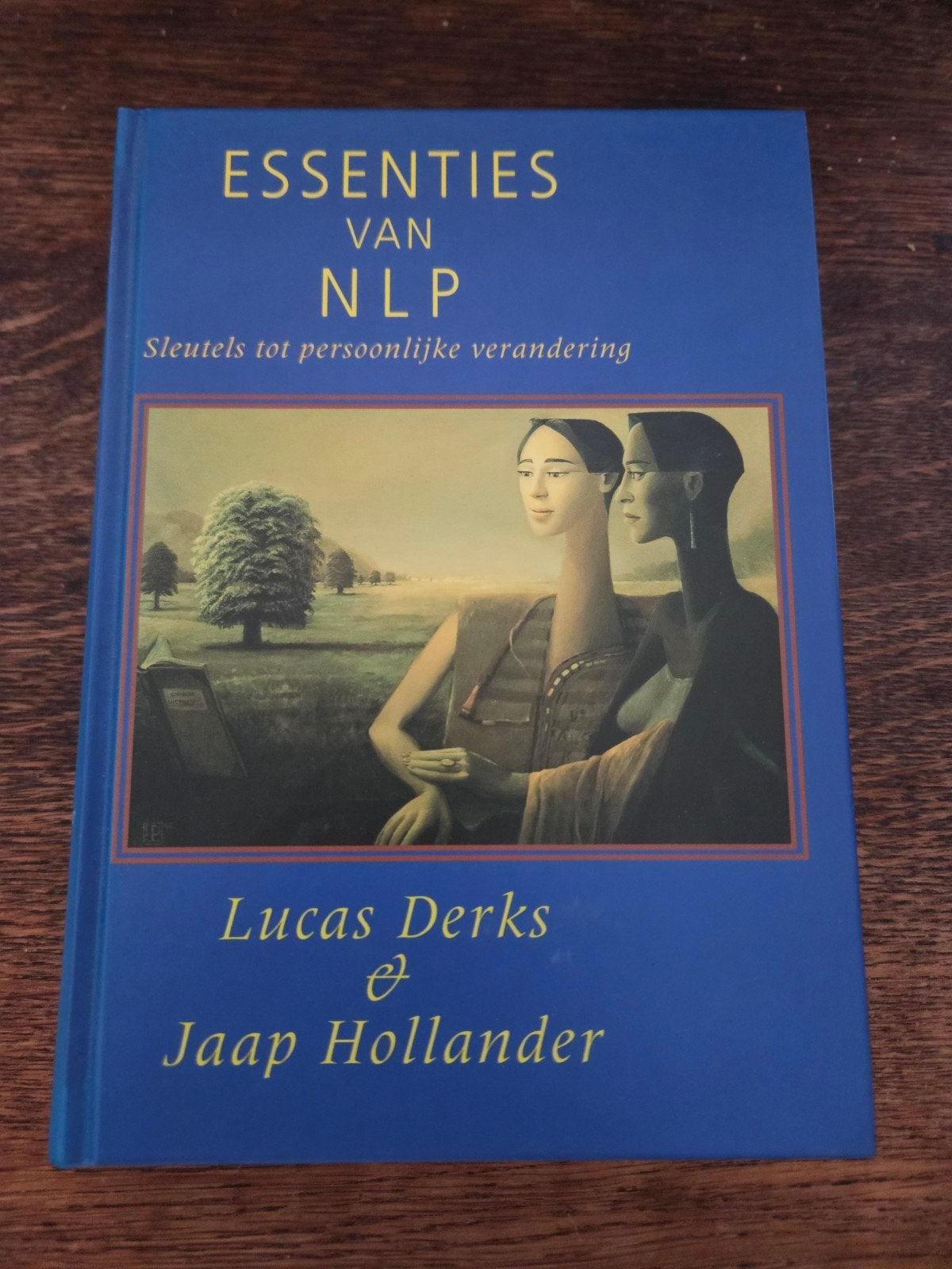 Essenties van NLP: Sleutels tot persoonlijke verandering, Ophalen of Verzenden, Gelezen, Lucas Derks & Jaap Hollander
