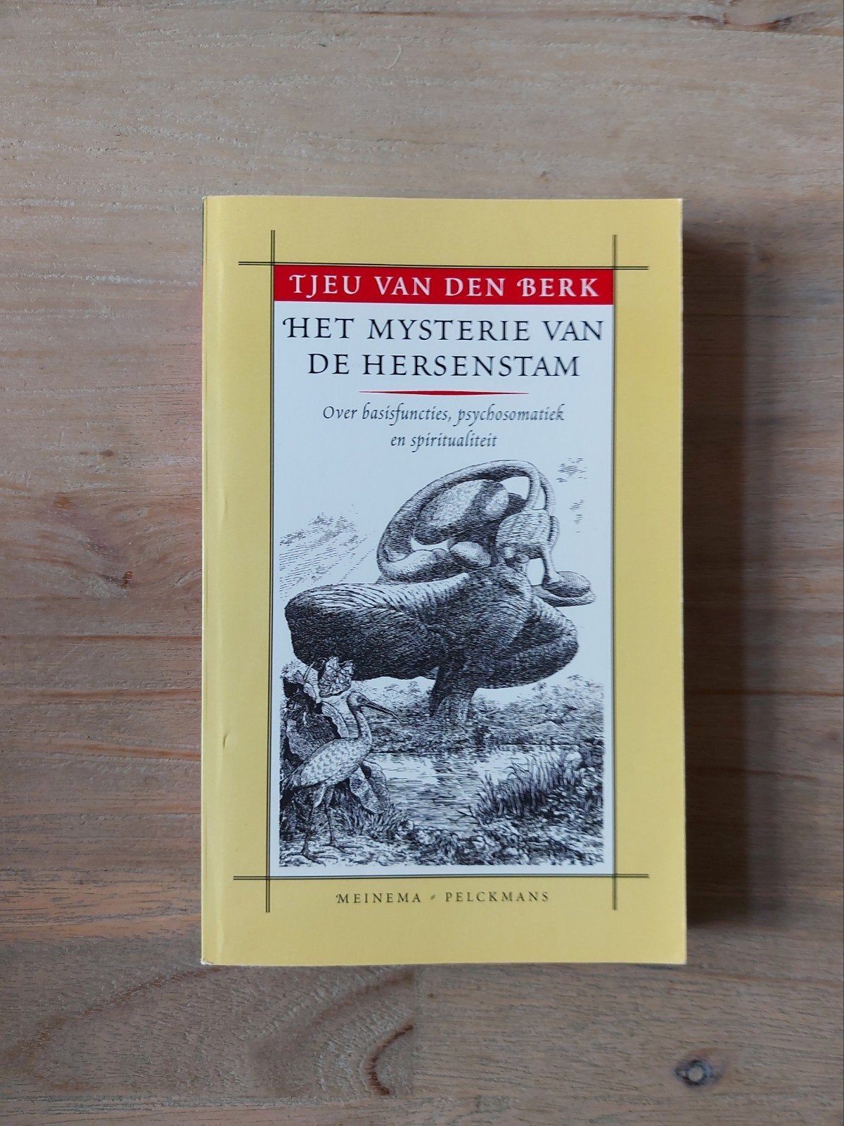 T. van den Berk - Het mysterie van de hersenstam, Boeken, Ophalen of Verzenden, Gelezen, T. van den Berk