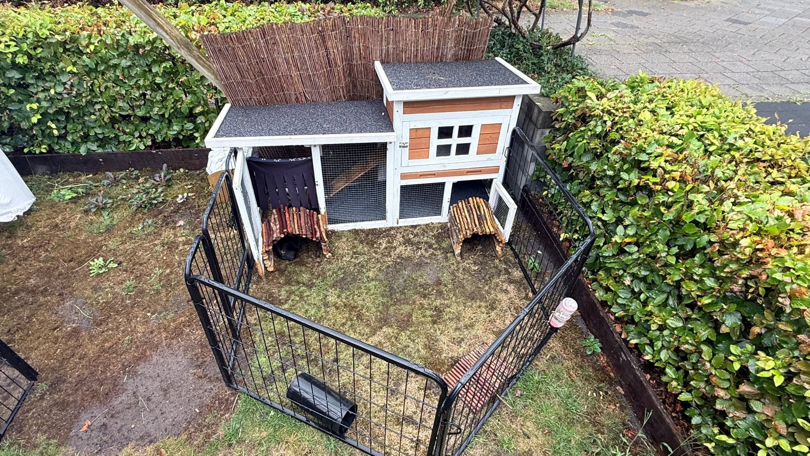 Cavia / konijnen hok met ren, 110 cm of meer, Zo goed als nieuw, Hok, Cavia