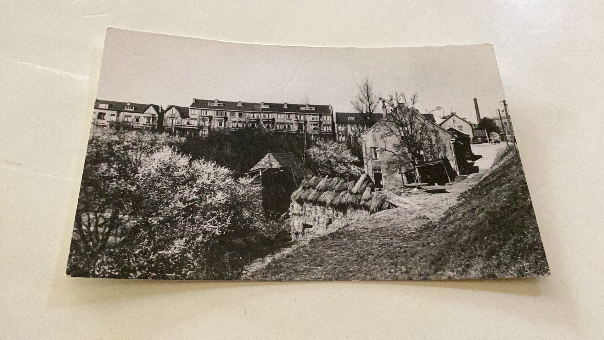 Dordrecht zo was Dordrecht Noordendijk, Ophalen of Verzenden, Voor 1920, Zuid-Holland