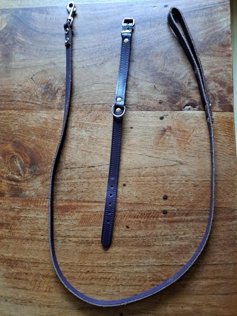 Hondenriem met halsband leer 5x, Dieren en Toebehoren, Hondenriemen, Ophalen of Verzenden, Zo goed als nieuw, Hondenriem