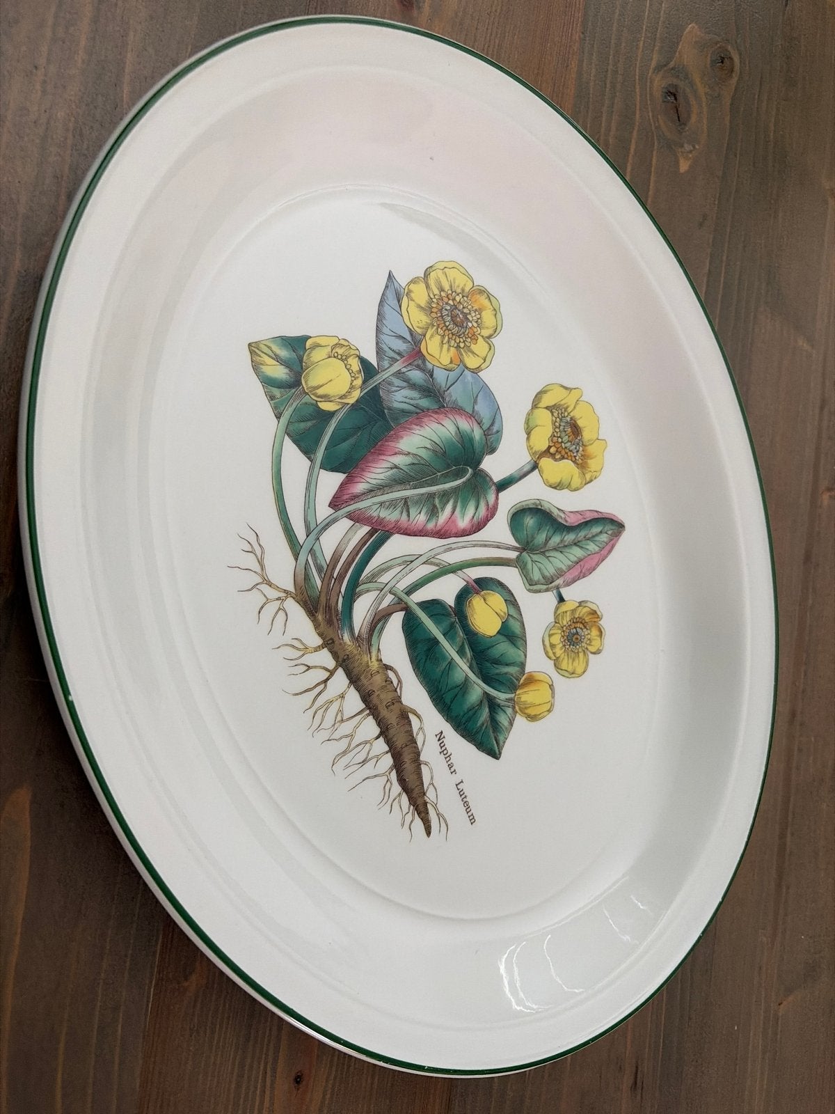 Wedgwood Florabunda Nuphar Luteum Ovale Schaal, Gebruikt, Klassiek, Ophalen of Verzenden, Schaal of Schalen