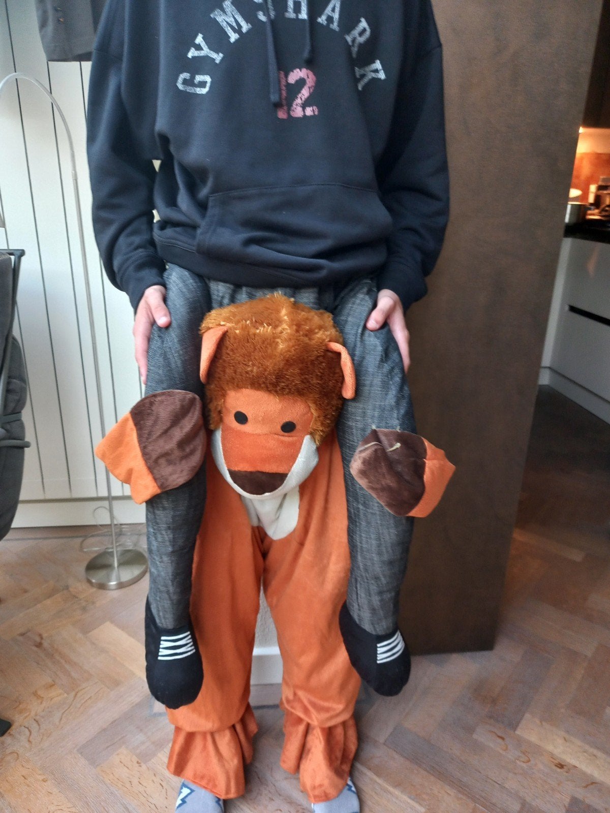 Grappig Leeuwen Kostuum - Carry Me Leeuw, Ophalen of Verzenden, Zo goed als nieuw