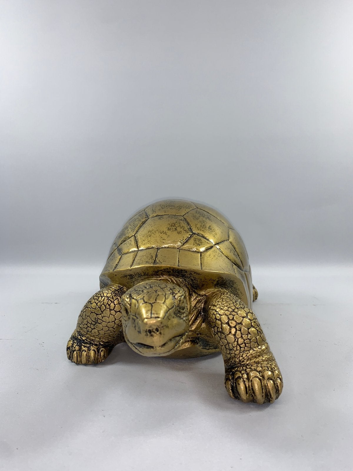 Schildpad - Decoratie - Shabella-deco, Shabella, Nieuw, Ophalen of Verzenden, Goud