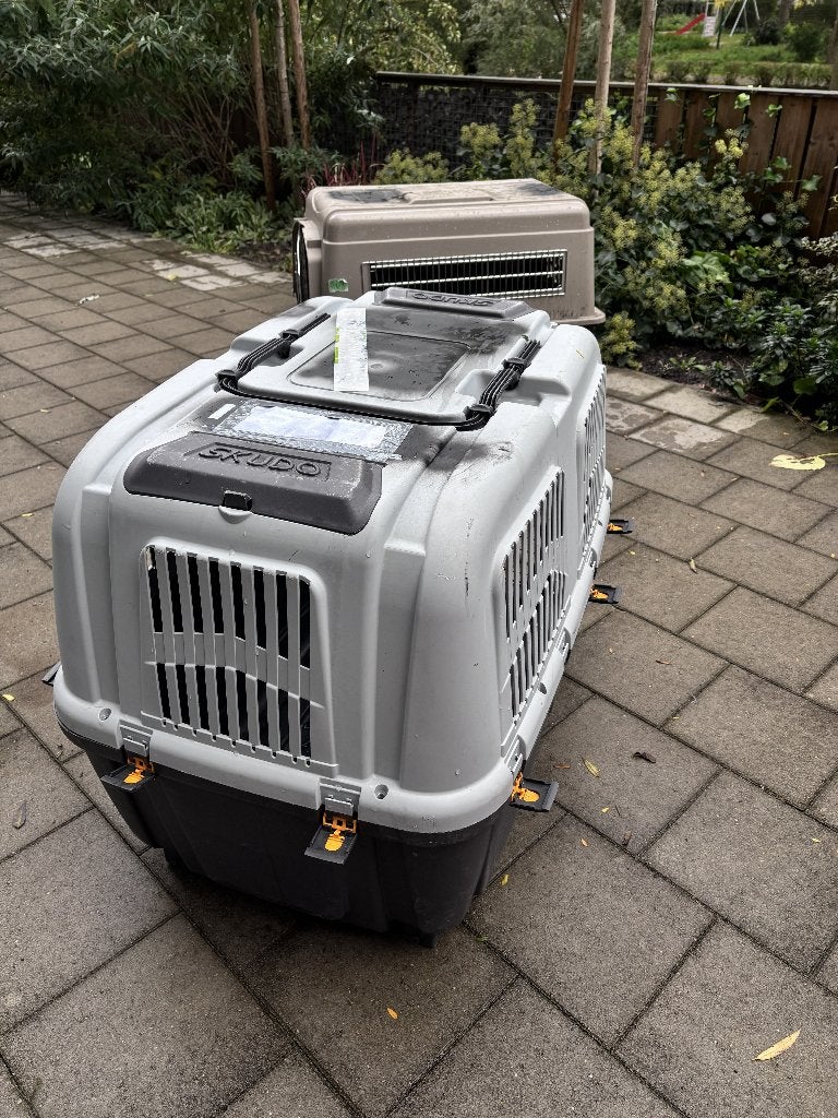 Kennel hond/transportbox, Ophalen, Gebruikt