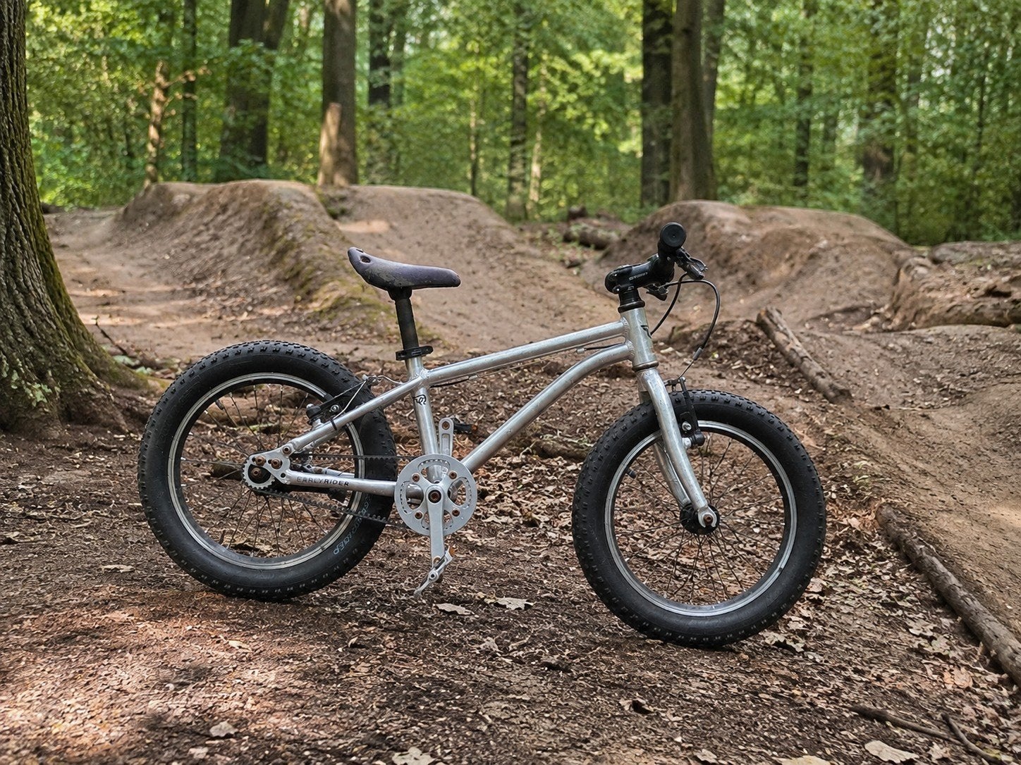 Early Rider seeker 16 inch, mtb, kinderfiets, Ophalen, Velgrem, Early Rider, 16 tot 20 inch