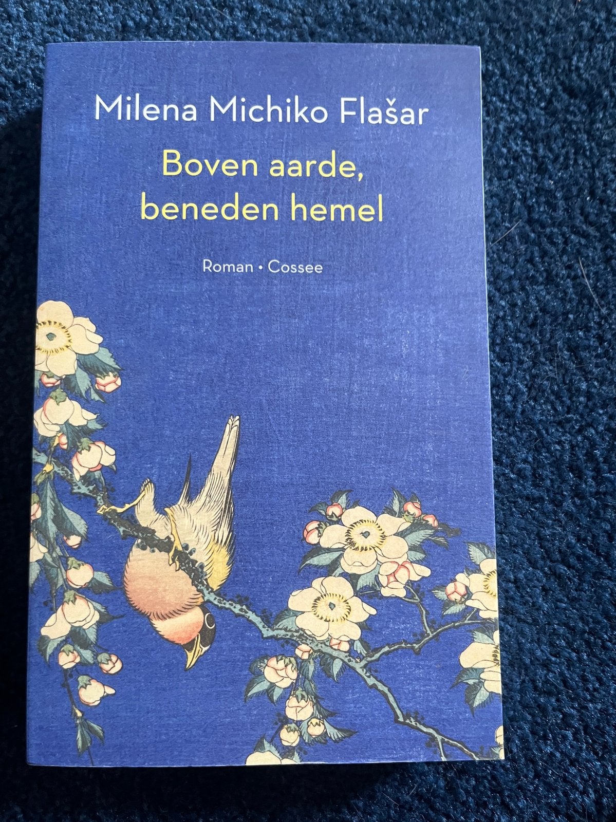 Milena Michiko Flasar - Boven aarde, beneden hemel, Ophalen of Verzenden, Nieuw, Milena Michiko Flasar