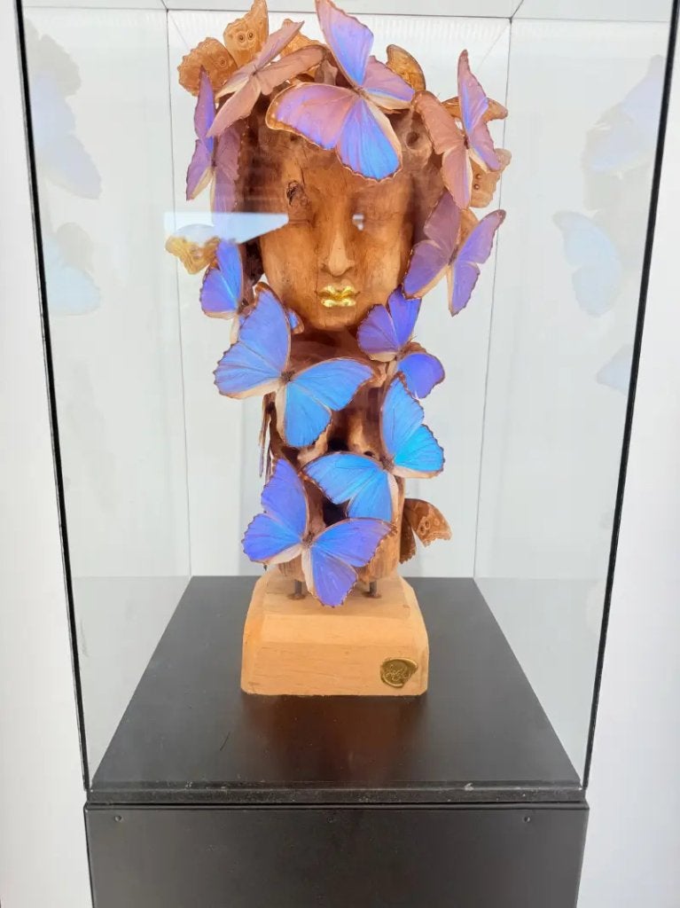 Vitrine met blauwe morpho-vlinders, Ophalen of Verzenden, Nieuw, Insect, Opgezet dier