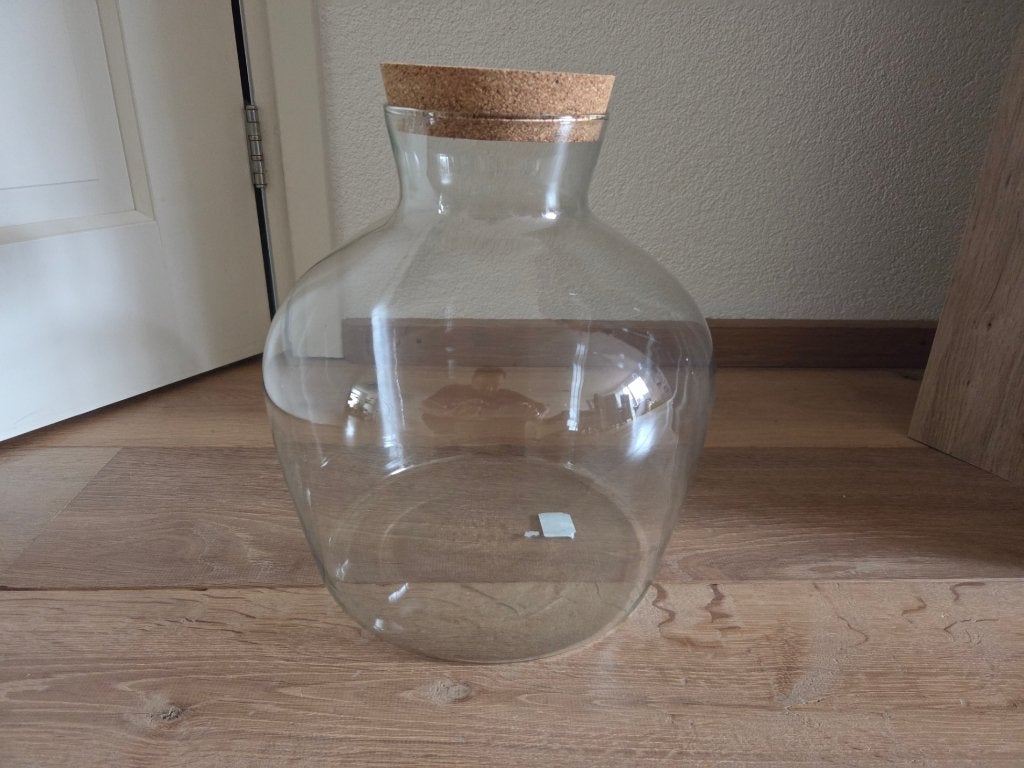 Botanisch terrarium glas, vaas, vazen, plant planten, Ophalen, Overige soorten, Halfschaduw, Minder dan 100 cm