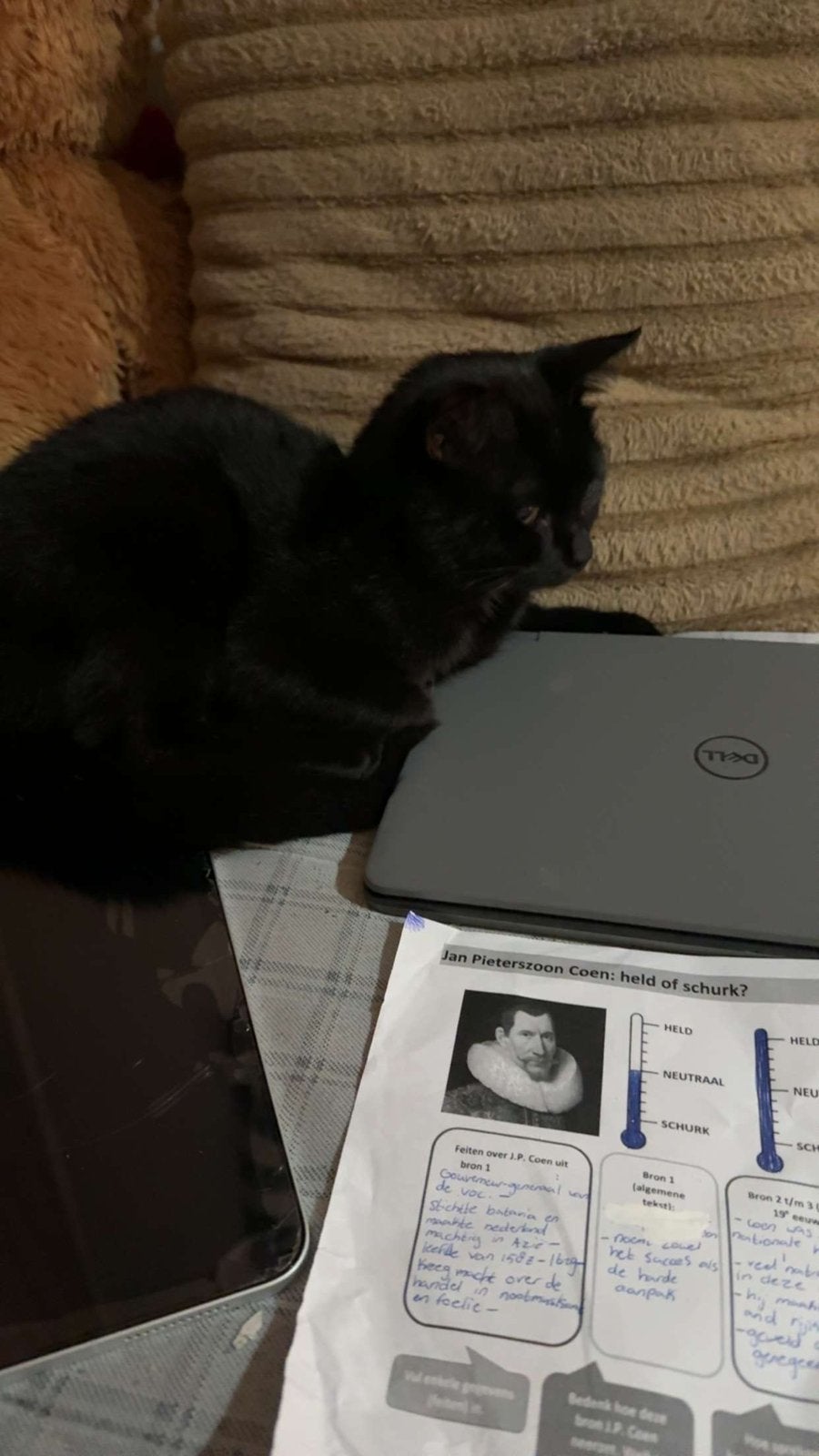 Lieve leo zoekt een betere huisje met veel aandacht, Dieren en Toebehoren, Kater, Kortharig, 0 tot 2 jaar
