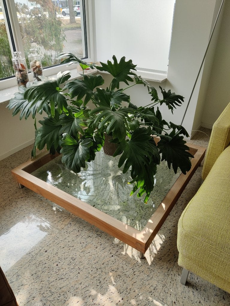Design Coffeetable Sting Collection, Huis en Inrichting, Ophalen, Gebruikt, 50 tot 100 cm, Design