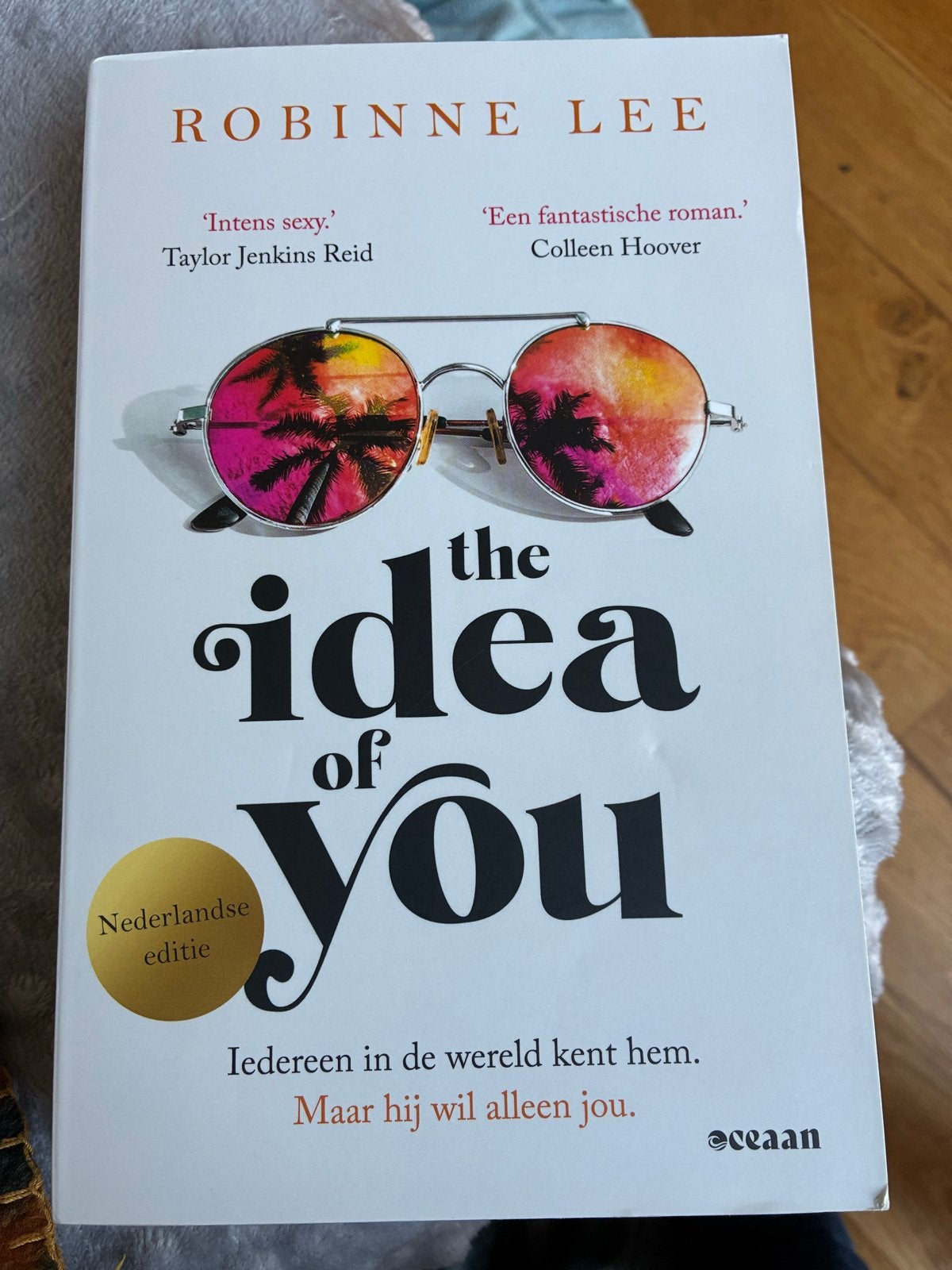 The Robinne Lee -Idea of You - Robinne Lee, Ophalen of Verzenden, Zo goed als nieuw, Nederland