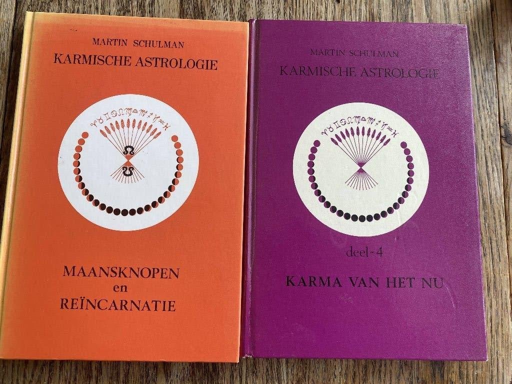 Martin Schulman Maansknopen en reincarnatie, Boeken, Achtergrond en Informatie, Astrologie, Ophalen of Verzenden, Zo goed als nieuw