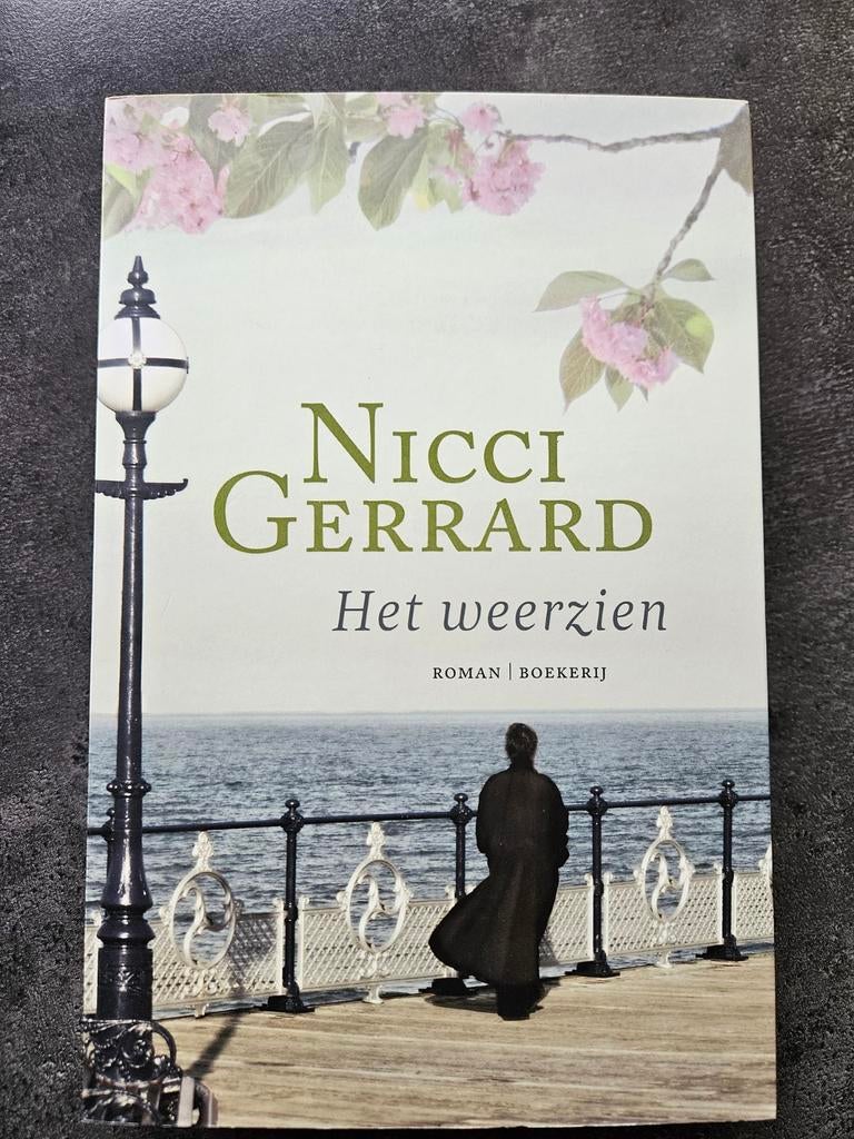 Het weerzien - Nicci Gerrard (Roman), Ophalen of Verzenden, Gelezen, Nicci Gerrard, Europa overig