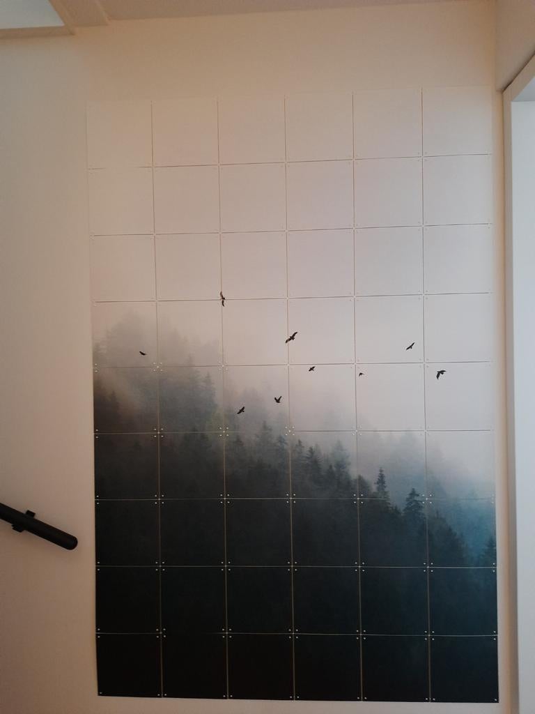 IXXI Schilderij 120x180 cm - Foggy Evergreen Forest, Ophalen, Nieuw, 125 cm of meer, Schilderij