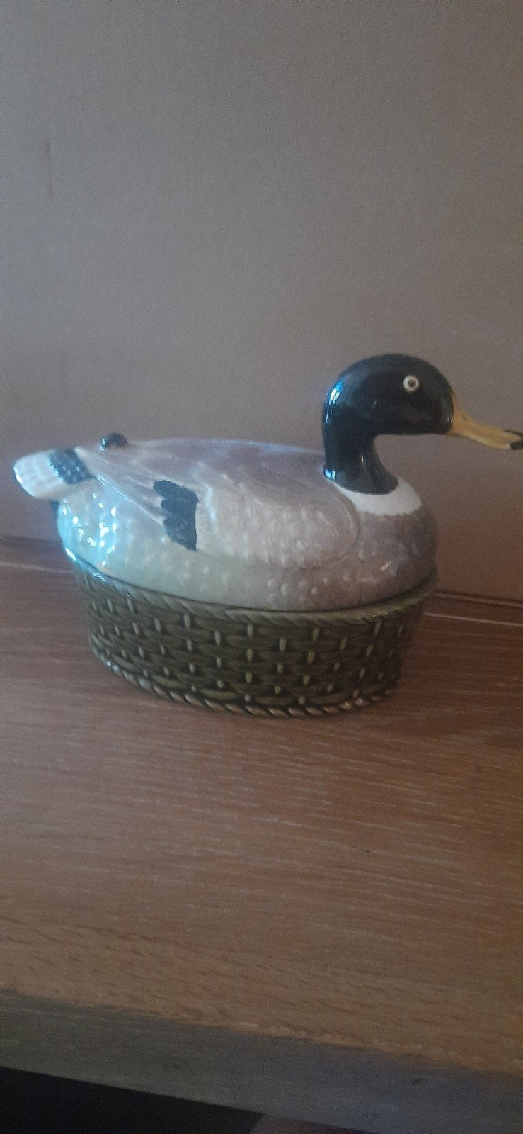 Decoratieve Eend Potje - Uniek Verzamelobject, Ophalen of Verzenden