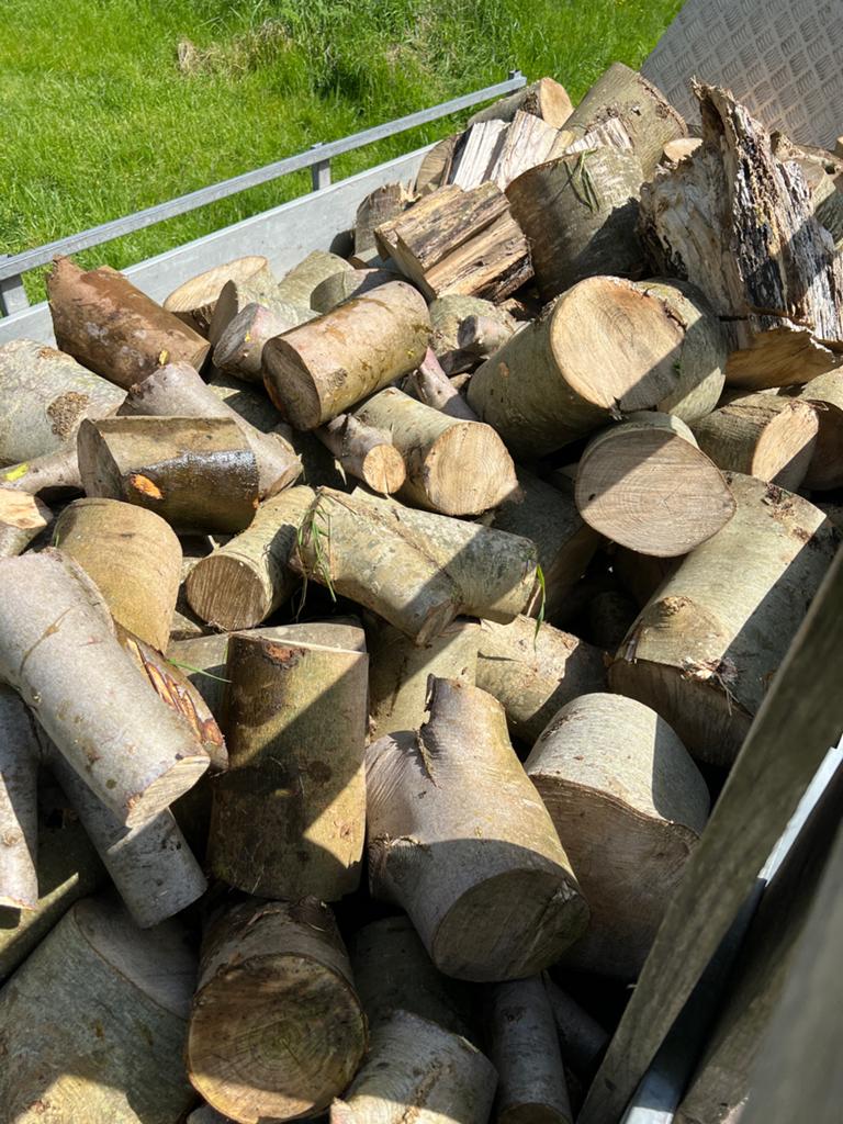 Brandhout blokken ca 2 - 2.5 m3, Tuin en Terras, Haardhout, Blokken, Elzenhout, 3 tot 6 m³, Ophalen