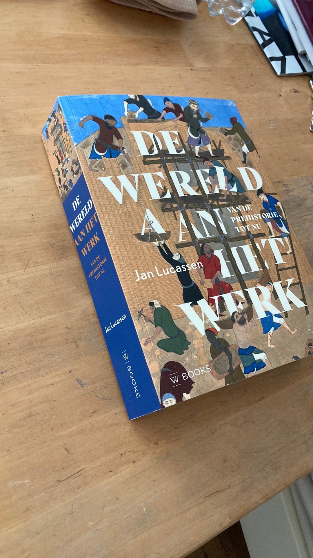 Jan Lucassen. De wereld aan het werk.prehistorie tot nu., Boeken, Ophalen of Verzenden, Zo goed als nieuw, Jan Lucassen