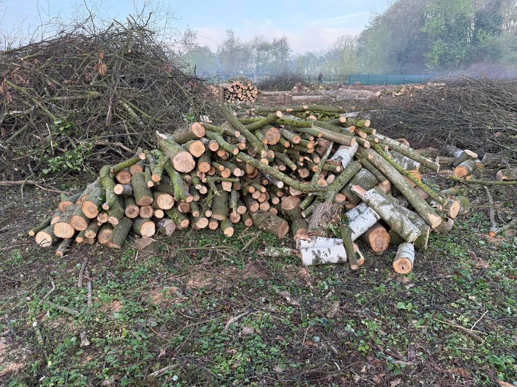 Brand hout haard hout stook hout, 6 m³ of meer, Ophalen, Overige houtsoorten, Blokken