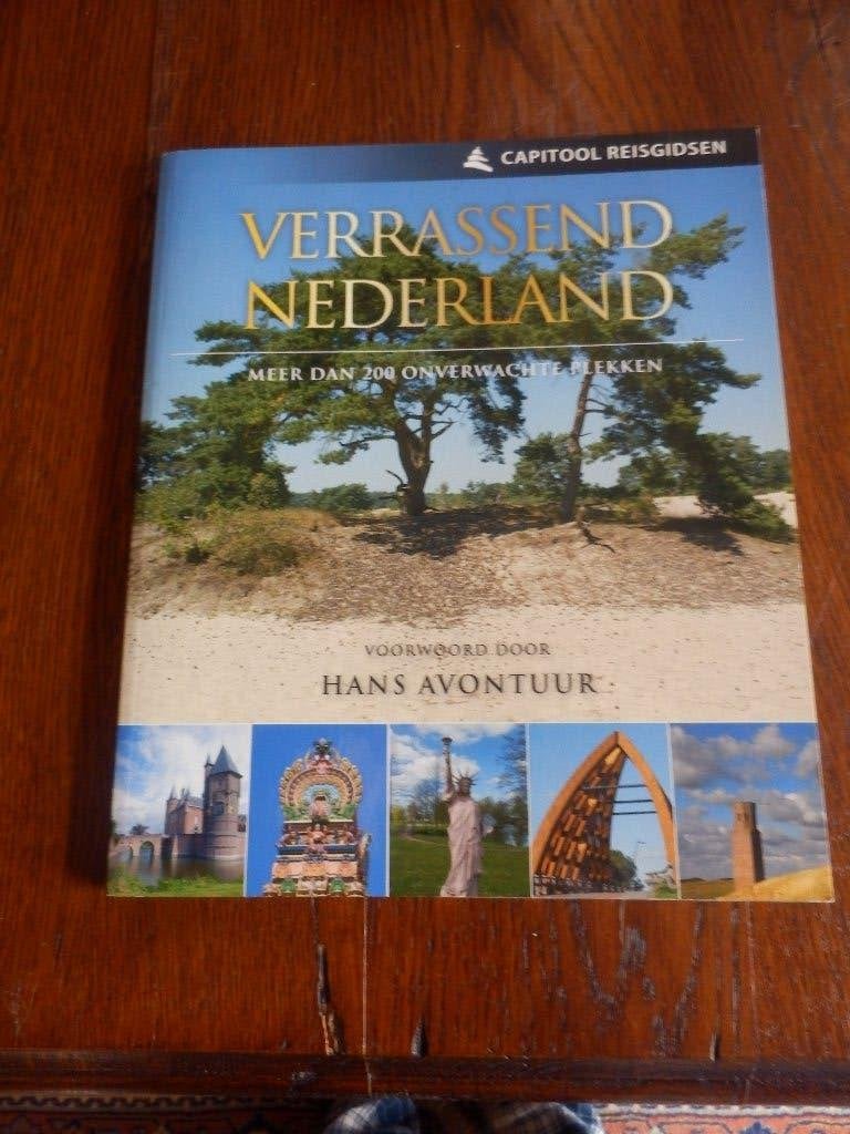 Capitool reisgids Verrassend Nederland., Boeken, Capitool, Ophalen of Verzenden, Zo goed als nieuw, Reisgids of -boek