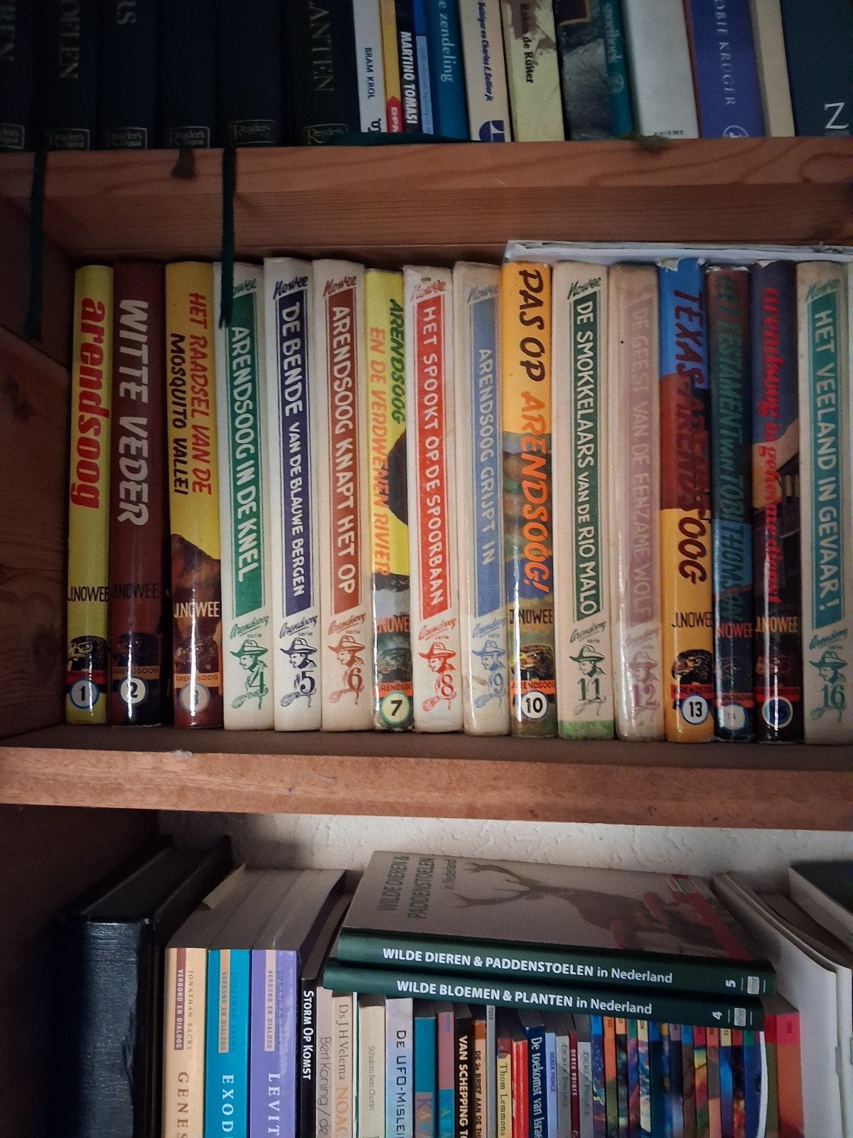 62 Arendsoog boeken - complete serie, Ophalen, Gelezen, J. Nowee, P. Nowee