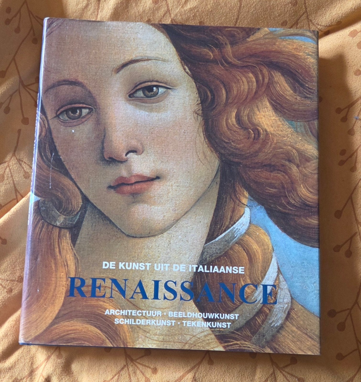 De Kunst uit de Italiaanse Renaissance, Ophalen of Verzenden