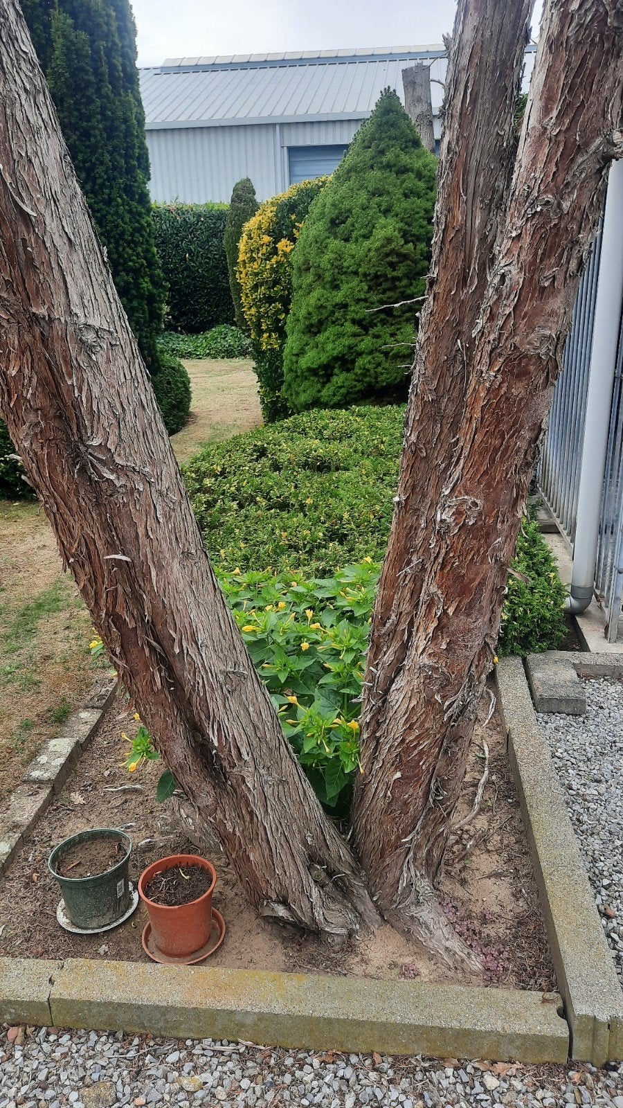 Gratis hout zagen, Tuin en Terras, Haardhout, Ophalen of Verzenden