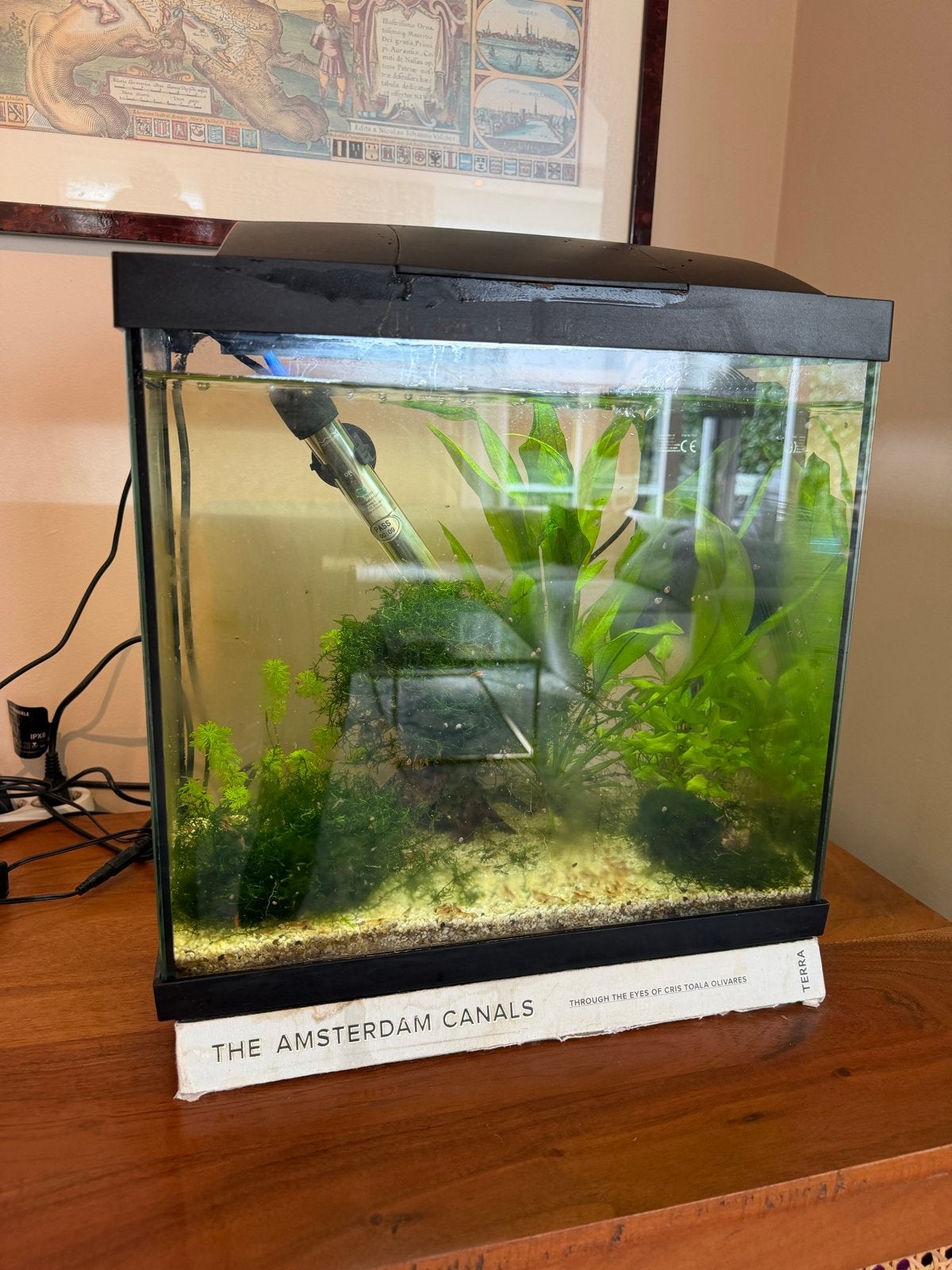 Starter aquarium met 50-100 garnalen!, Dieren en Toebehoren, Ophalen, Gebruikt, Inclusief vissen, Gevuld zoetwateraquarium