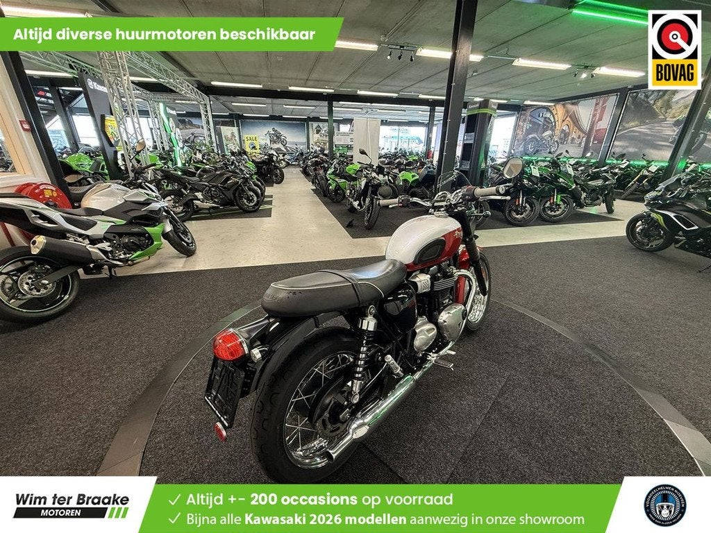 Triumph Bonneville T 100 Bud Ekins SE - 2020, Chopper, Bedrijf, 900 cc, Meer dan 35 kW