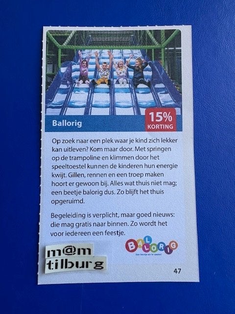 Ballorig 15% korting tot 1-7-2027, Tickets en Kaartjes, Drie personen of meer, Kortingsbon, Overige typen