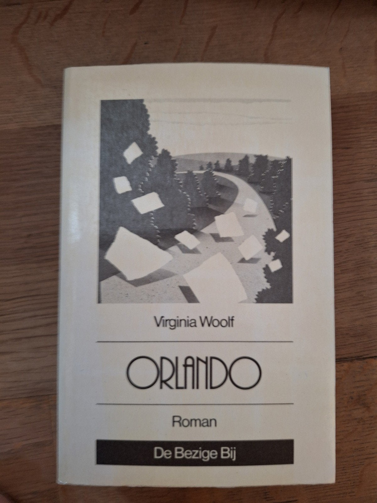 Orlando | Virginia Woolf pocket ZGAN, Ophalen of Verzenden, Zo goed als nieuw
